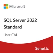 SQL Server 2022 - 1 User CAL