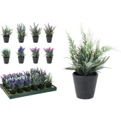 Ukrasna Biljka Lavender