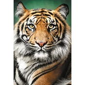Trefl Slagalica Tigar, 1500 delova