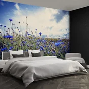 tulup.si Stenska fototapeta Cornflowers Tapeta 152x104 cm