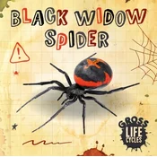 Black Widow Spider