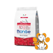 Monge Mini