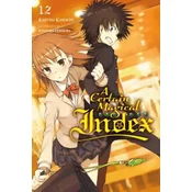 Certain Magical Index, Vol. 12 (light novel)