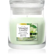 Yankee Candle Cucumber Mint Cooler dišeča sveča Signature 110 g