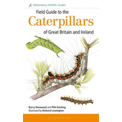 Field Guide to the Caterpillars of Great Britain and Ireland