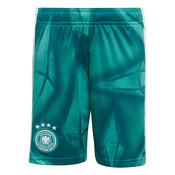 ADIDAS PERFORMANCE Športne hlače DFB zelena/žad/neonsko zelena/bela