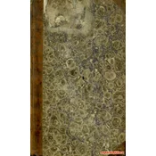 HISTORIA JURIS HUNGARICI PRIVATI DOCUMENTIS, AC TESTIMONIIS ILLUSTRATA, quam elucubratus est nobilis hunguarus zaladiensis