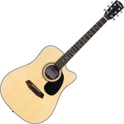 Pasadena PDC-100 Natural Akustična kitara (Rabljeno)