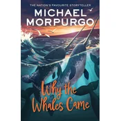 Why the Whales Came