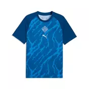 PUMA Iceland Warmup Jersey Men, Performance, Clyde Royal/Haute Tropic, S