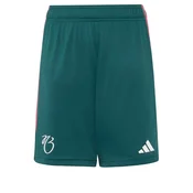 ADIDAS PERFORMANCE Sportske hlace Jude Bellingham Tiro League kraljevski zelena / roza / bijela