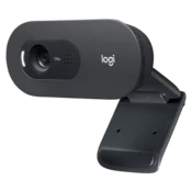 Web camera Logitech C505e 960-001372