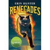 Renegades: The Magic Awakens