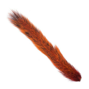 SQUIRRELTAIL-ORANGE-ST012