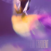 L I N - Gradient (LP)