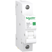 SCHNEIDER APC Schneider Electric miniaturni odklopnik R9F24125, (21040698)