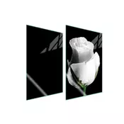 shumee ZAŠČITNA STEKLENA KROŽNIK ZA KUHINJO 2x35x52 ROSE