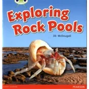 Bug Club Non-fiction Green C Exploring Rock Pools