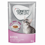Concept for Life Kitten - u umaku - 24 x 85 g