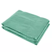 Homestar Prevleka za rastlinjak 600x300x200 cm zelena
