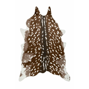 Lalee PREPROGA rodeo ROD 205 FAWN