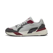 PUMA Trinity 2 Sneakers Unisex, Shoes, Cool Light Gray/Moody Gray/Garnet Glow, 42