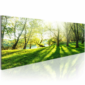 Slika - Rays of Sunshine 120x40