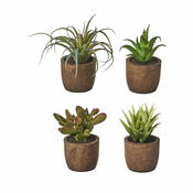 Umetne rastline v kompletu 4 ks (višina 10 cm) Cactus – Casa Selección