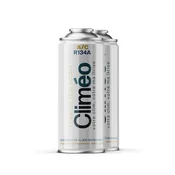 shumee Climeo 2x400ml - Ekološko hladilno sredstvo R134a/R12 | Neodvisen servis klimatskih naprav