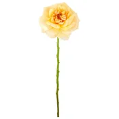 Mömax Vrtnica Rose Ii -Paz-