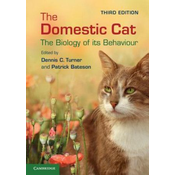 Domestic Cat