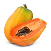 Papaya (Papaja), (id-25141)