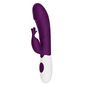 Rasmussen purple vibro