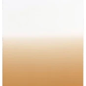 COKIN postepen list filter tobak T2 Light S