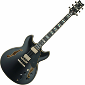 Ibanez JSM20 Black Low Gloss