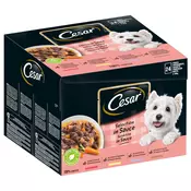 Mega pakiranje Cesar pladnji, 24 x 150 g - Deželni ragu