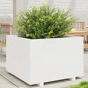 vidaXL Vrtno cvetlično korito belo 70x70x49,5 cm trdna borovina