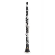 Klarinet Bb CB-217 Student Roy Benson RB700.450