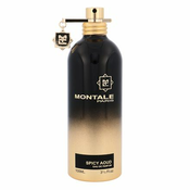 Montale Paris Spicy Aoud parfumska voda 100 ml unisex