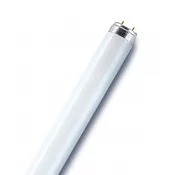 OSRAM FD T26 L18-860-11 ECO