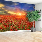 tulup.si Fototapeta Makovo polje Tapeta 104x70 cm