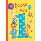 Now I Am 1