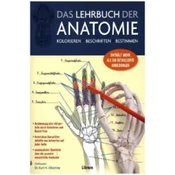 Das Lehrbuch der Anatomie