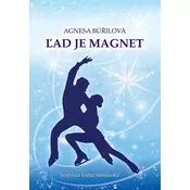 Ľad je magnet