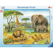Ravensburger Afriške živali Puzzle 30 kosov