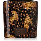 Vila Hermanos Jungletopia Savage Africa dišeča sveča 620 g