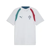 PUMA Portugal Slim Training Jersey Men, Football, Silver Mist/Ocean Tropic, XL