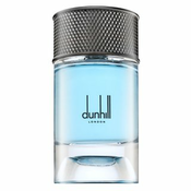 Dunhill Signature Collection Nordic Fougere parfémovaná voda za muškarce 100 ml