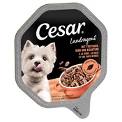 Mega pakiranje Cesar zdjelice 28 x 150 g - Perad, povrce i riža