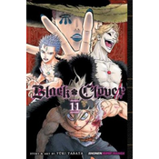 Black Clover, Vol. 11